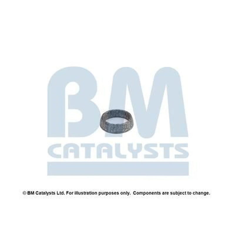 BM Catalysts Fitting Kit FK92154A FK92154A
