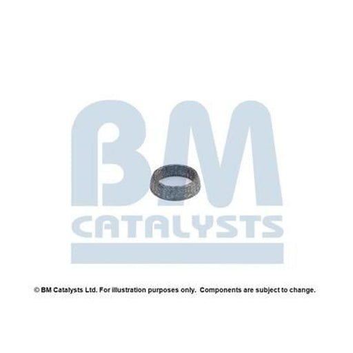 BM Catalysts Fitting Kit FK92154A FK92154A