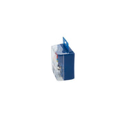Bosch Car Bulb Assortment Set