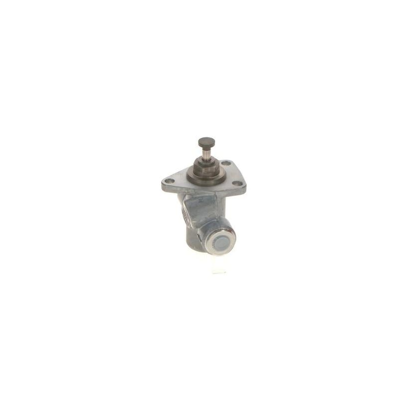 Bosch Fuel Pump Assembly