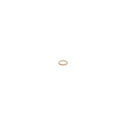 Bosch Injector Seal Ring