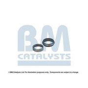 BM Catalysts Fitting Kit FK91165A FK91165A