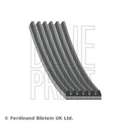 Blue Print Aux Belt Kit (V-Ribbed Belt + Tensioner + fits Mitsubishi Outlander I
