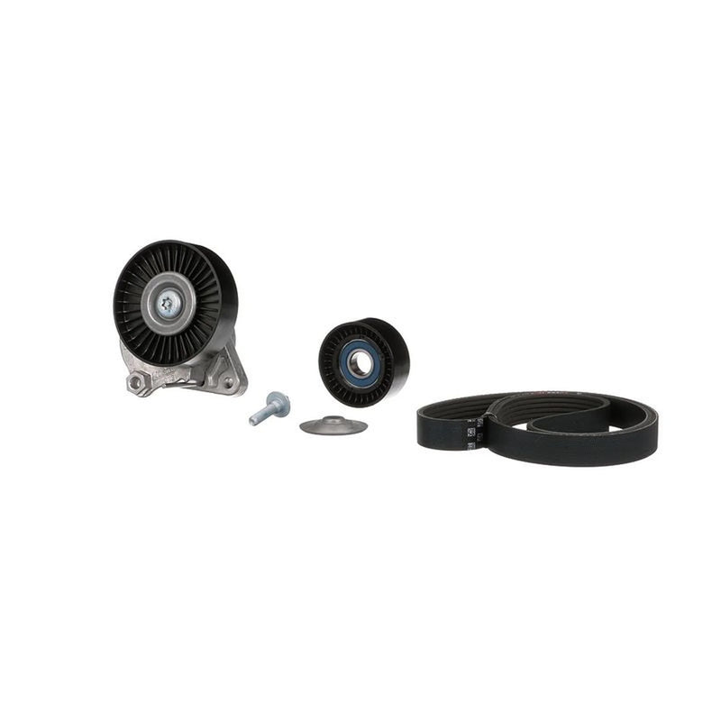 Gates V-Ribbed Belt Set K036PK2448