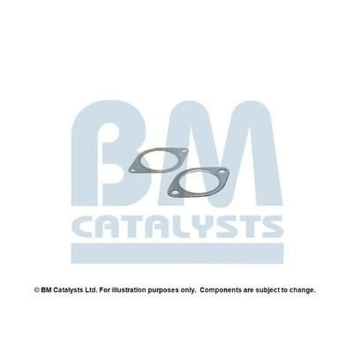 BM Catalysts Fitting Kit FK11149A FK11149A