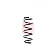 Apec 2 x Suspension Springs fits Toyota Celica 1999-2005 1.8