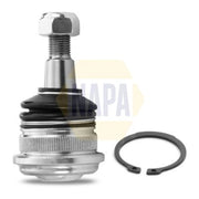 NAPA Ball Joint Front Right fits Hyundai Accent 1994-2000 1.3 1.5