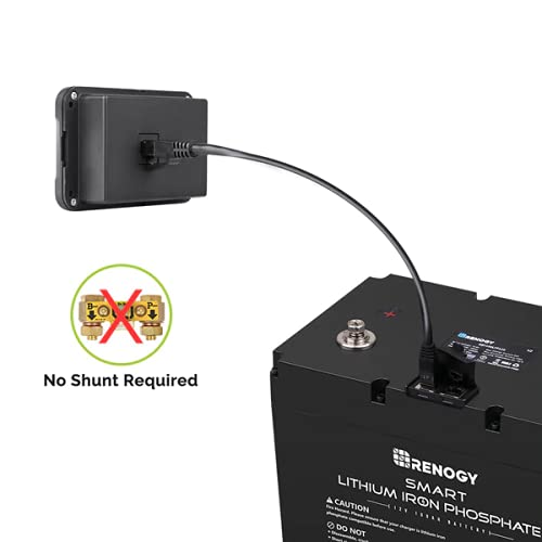 Renogy Monitoring Screen for Smart Lithium Battery Series Dyna-mo Solar - Dynamic Drive
