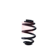 Apec Rear Suspension Coil Spring fits VW Caravelle 2015-2024 2.0