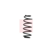 Apec Rear Suspension Coil Spring ACS1631