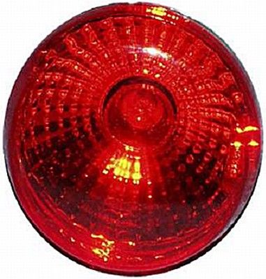 Hella 2SB 965 039-357 Tail Light Assembly