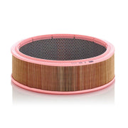 MANN-FILTER Engine Air Filter