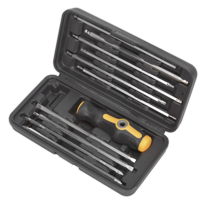 Sealey Screwdriver Set 20-in-1 S0777 Siegen by Sealey - Dynamic Drive