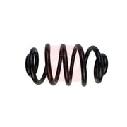 Apec Rear Suspension Coil Spring ACS1939