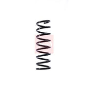 Apec 2 x Suspension Springs fits Volvo C70 II 2006-2013 2.0 2.4