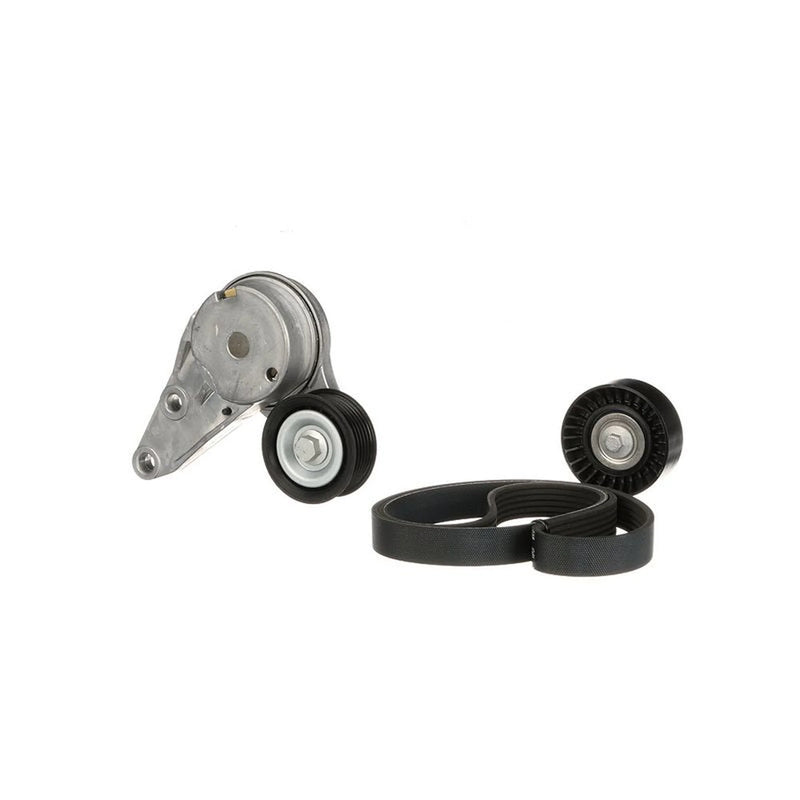 Gates V-Ribbed Belt Set K286PK1555