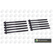 BGA Cylinder Head Bolt Set M11 BK5302