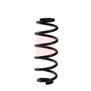 Apec Rear Suspension Coil Spring fits Audi A4 B8 2008-2015 3.0