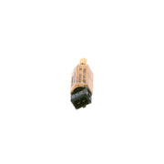 Bosch Cold Start Temperature Switch F 026 T03 101