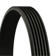 Continental CTAM Multi V-Ribbed Drive Belt fits Ford Fiesta V 2001-2008