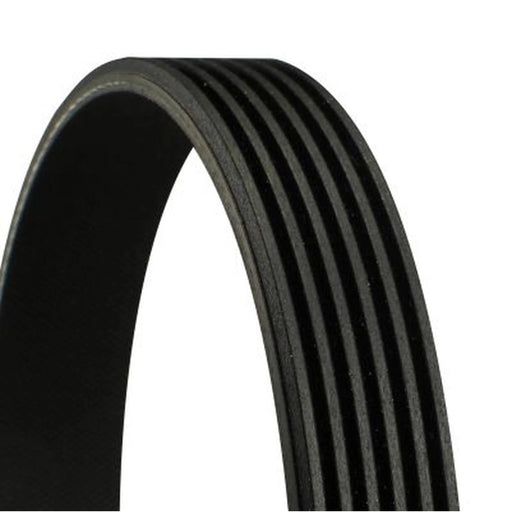 Continental CTAM Multi V-Ribbed Drive Belt fits Chrysler Voyager 2000-2008 2.4