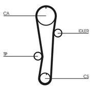 Continental CTAM Timing Belt Cambelt 105 Teeth fits Hyundai Accent 1995-2000 1.5