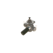 Bosch Fuel Pump Assembly