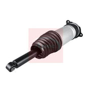 Apec Air Suspension Strut Shock AAS1073