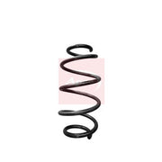 Apec Front Suspension Coil Spring ACS1934
