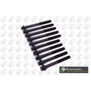 BGA Cylinder Head Bolt Set M10 BK6318
