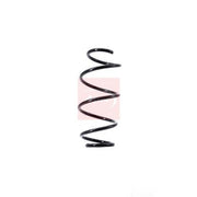 Apec Front Suspension Coil Spring ACS1341