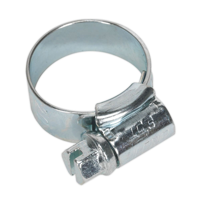 Sealey HI-GRIP Hose Clip Zinc Plated 13-20mm Pack of 30 HCJ00 Sealey  - Dynamic Drive
