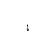 Delphi Centre Rod Assembly Centre fits Chrysler Crossfire 2003-2008 3.2