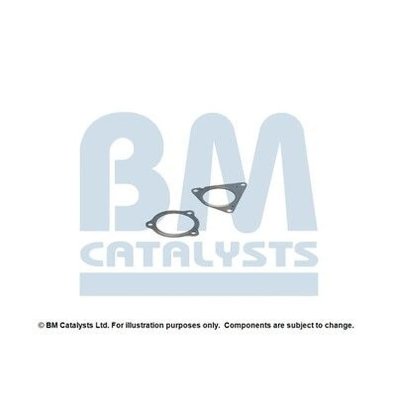 BM Catalysts Fitting Kit FK11192A FK11192A