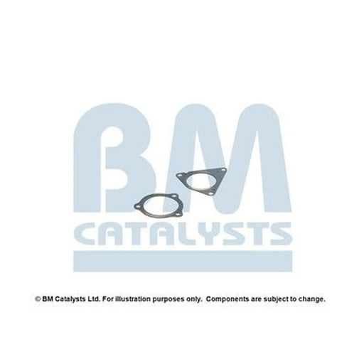 BM Catalysts Fitting Kit FK11192A FK11192A