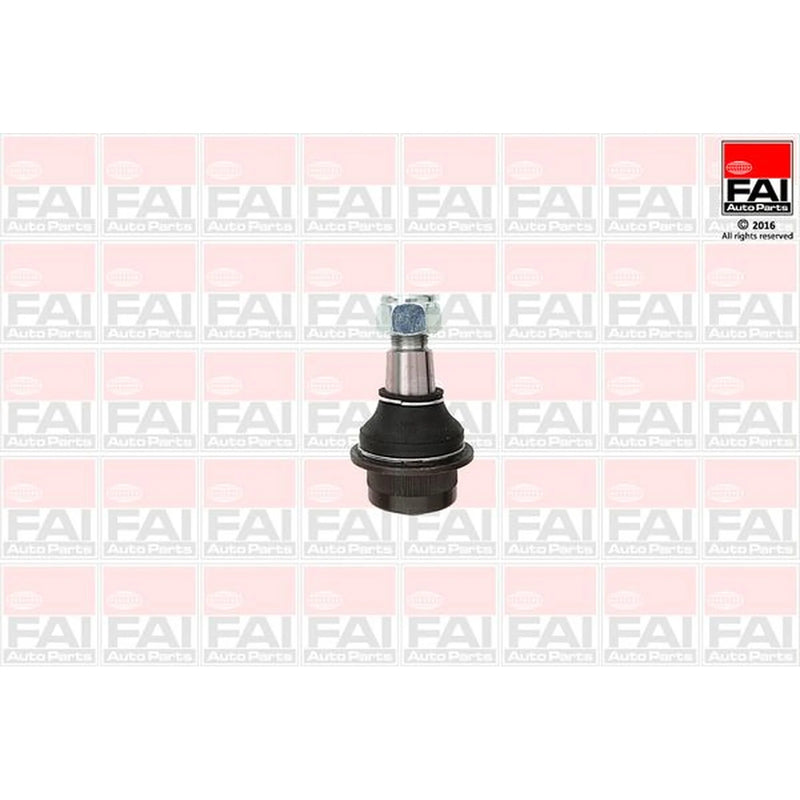 FAI 2 x Ball Joints
