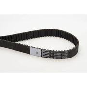 Continental CTAM Timing Belt Cambelt 160 Teeth fits Audi A3 2003-2013 2.0