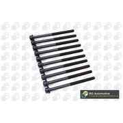 BGA Cylinder Head Bolt Set M11 BK6398