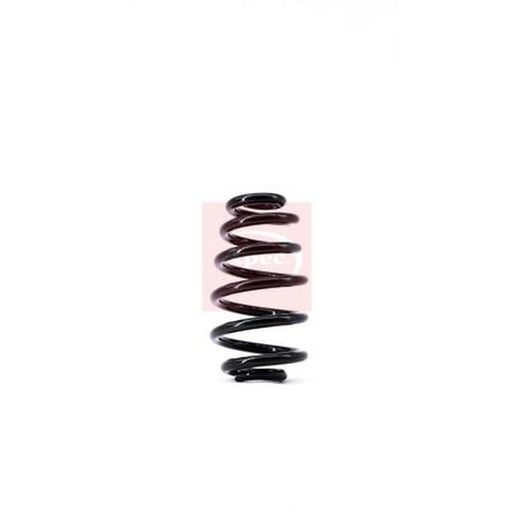Apec Rear Suspension Coil Spring ACS1387