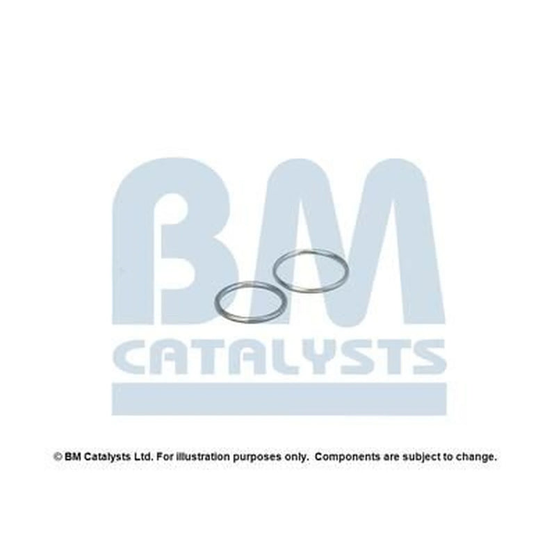 BM Catalysts Fitting Kit FK80289A FK80289A