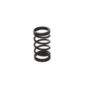 Bosch Compression Spring