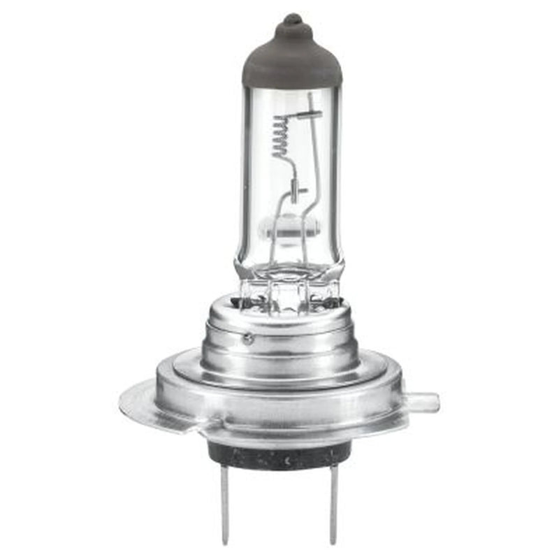 Hella Bulb Ece-R 37-H7-24V/70W 8GH fits Bova Futura 2001-2008