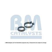BM Catalysts Fitting Kit FK80484A FK80484A