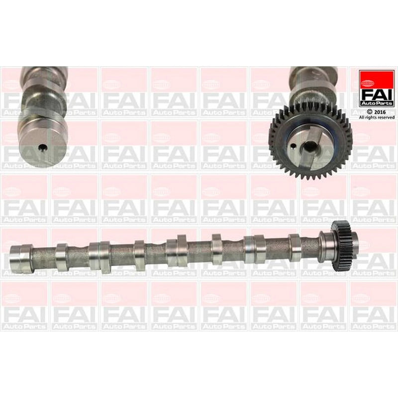 FAI Engine Camshaft Lobes fits Audi A1 2010-2015 1.6 2.0