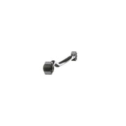 Delphi Control/Trailing Arm Rear fits Chrysler 300C 2004-2023