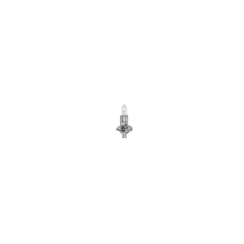 Bosch Eco H1 12V 55W P14.5S 448-Eblb448 1 987 302 801