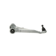 Delphi Control/Trailing Arm Lower