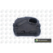 BGA Timing Chain Cover FC0110