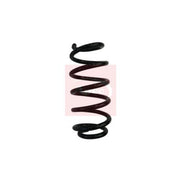 Apec Rear Suspension Coil Spring ACS2064