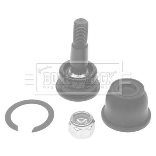 Borg & Beck Ball Joint Lower BBJ5335